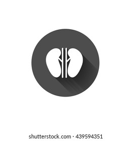 Vector kidney icon. Human interrnal abdomen organs