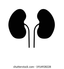 Vector  Kidney Icon Sign Healthy 