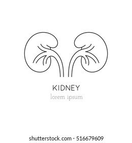 Vector kidney thin line icon, logo template illustration. Part of Organ Donation set. Black on white pictogram, healthcare medicine isolated symbol. Simple mono linear modern design.