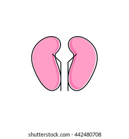 Vector kidneys icon. Human interrnal abdomen organs