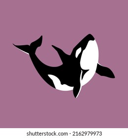 Vector killer whale on a pink background, orca