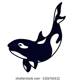 Vector killer whale outline illustration