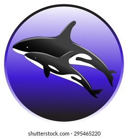 Vector killer whale swim in the ocean with a baby vector ilustration