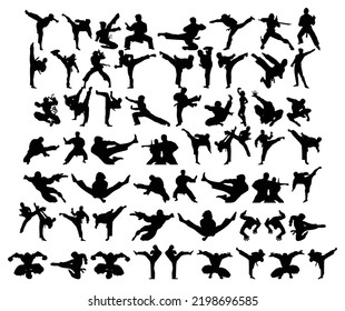 Vector kinds of movements in karate