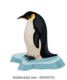 Vector king penguin