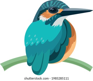 Vector - Kingfisher  Design Vector Illustration
