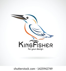 Vector kingfishers bird(Alcedo atthis)