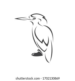 Vector of a kingfishers Black on white background. Bird Design. icon. logo. symbol. 