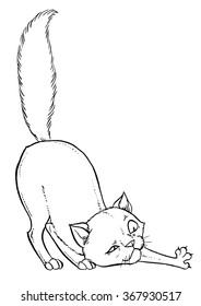 Vector kitten playing