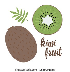 Vector kiwi clip art. Jungle fruit illustration. Hand drawn flat exotic plants isolated on white background. Bright childish healthy tropical summer food illustration