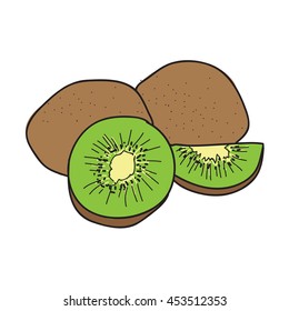 Vector kiwi color illustration.