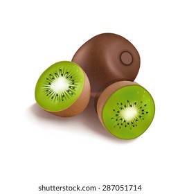 Vector kiwi fruit
