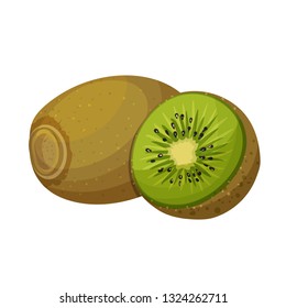 Vector kiwi. Fruit illustration for farm market menu. Healthy food design