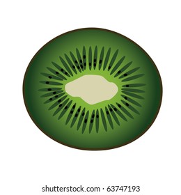 vector kiwi on the white background