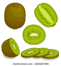 Vector kiwi. Set of whole, slice, half of a kiwifruit isolated on white background. Vector icon.