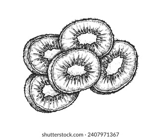 Vector kiwi slice or kiwifruit pieces sketch. Hand drawn vintage image for botany or culinary book, image for biology or recipe poster. Natural food for vegetarian dessert snack. Tropical sliced fruit