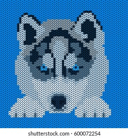 Vector knitted dog pattern. Husky on blue background. Illustration for sweater, pullover, slip-over, wooly, bag, satchel, carrier bag.
