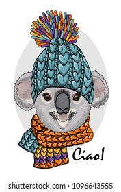 Vector koala with blue knitted hat and scarf. Hand drawn illustration of dressed animal.