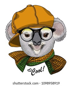 Vector koala with glasses, yellow cap and knitted scarf. Hand drawn illustration of dressed animal.