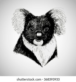 vector koala a hand-drawn sketches in graphic style