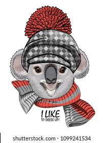 Vector koala with hat and knitted scarf. Hand drawn illustration of dressed animal.