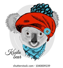 Vector koala with red beret and scarf. Hand drawn illustration of dressed koala bear.