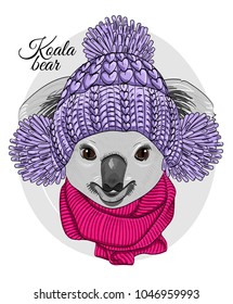 Vector koala with violet knitted hat and pink scarf. Hand drawn illustration of dressed koala bear.