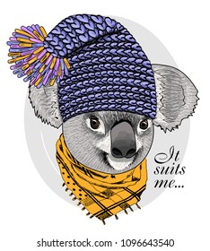 Vector koala with violet knitted hat and yellow scarf. Hand drawn illustration of dressed animal.
