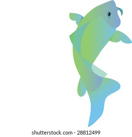 vector koi fish