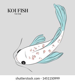Vector koi fish ilustration. Japanese, chinese oriental symbol art. Advertising flyer, nature background . Hand-drawn sketch 