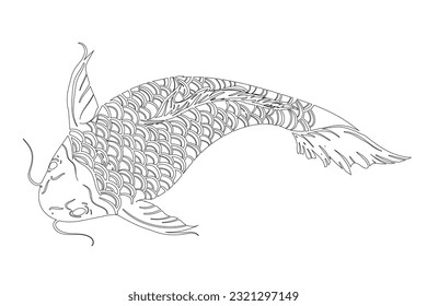 Vector koi fish line illustration hand draw japan style 