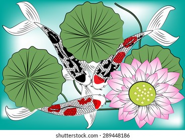 Vector koi fish and lotus flower,colorful koi carp swimming in a pool with aquatic plants and water ripples on  background