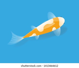 Vector Koi Fish with realistic skin in water - Vector