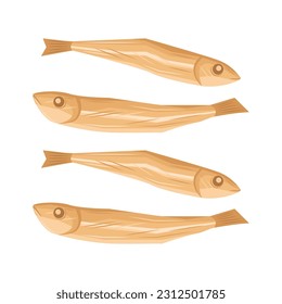 Vector of korean dried anchovy (myeolchi)