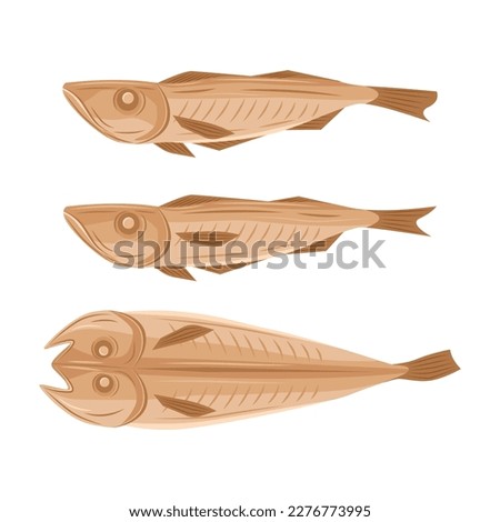 Similar – Image, Stock Photo Dried fish dried fish on bamboo grid
