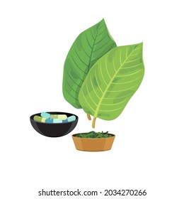 Vector Kratom Leaf Or Mitragyna Speciosa In Capsules And Dry Leaf In A Bowl Isolated On White Background.