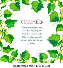 Vektorillustration Etikett oder Banner mit Gurken, Blättern. quadratische Gurkenzusammensetzung mit Ästen, grünen Cornichons, gelben Blumen und Platz für Text. frischer Gemüsesaal. Bio-Lebensmittelbanner