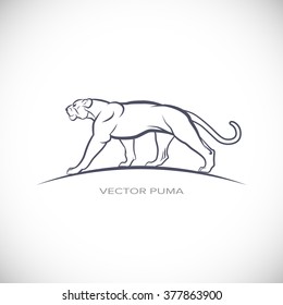 Vector label with a picture of cougar