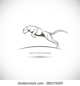 vector label with a picture of cougar