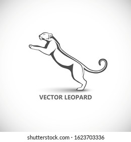 Vector label with a picture of leopard