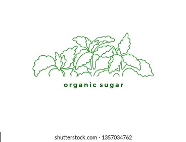 Vector label of stevia. Fresh sugar organic plant. Natural sweet food. Organic diabetic product. Art line sketch, green symbol. Natural fresh leaves on white background Simple design for card