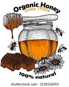 Vector label template. Graphic linear honey jar, honey bucket, bees, chamomile, honeycomb