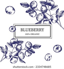 Vector label template with the image of a branch with blueberries in engraving style. Hand drawn blueberries