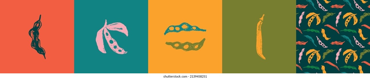 Vector label template with Soybean pattern seamless. Hand-drawn soy bean ornament for packaging for Soy vegetable oil, soy milk, tofu, vegan protein banner. Sport food concept. Soybeans background.