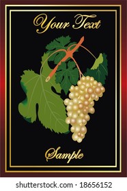 vector label for wine with graph