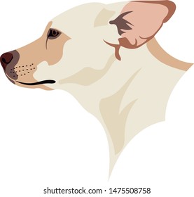 vector labrador dog face in cartoon