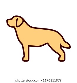 Vector Labrador Dog Icon Isolated On White Background