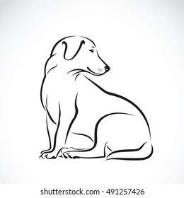 Vector of a labrador dog on a white background.