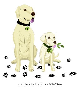  vector labrador dogs
