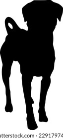 Vector Labrador mongrel dog standing on a white background.